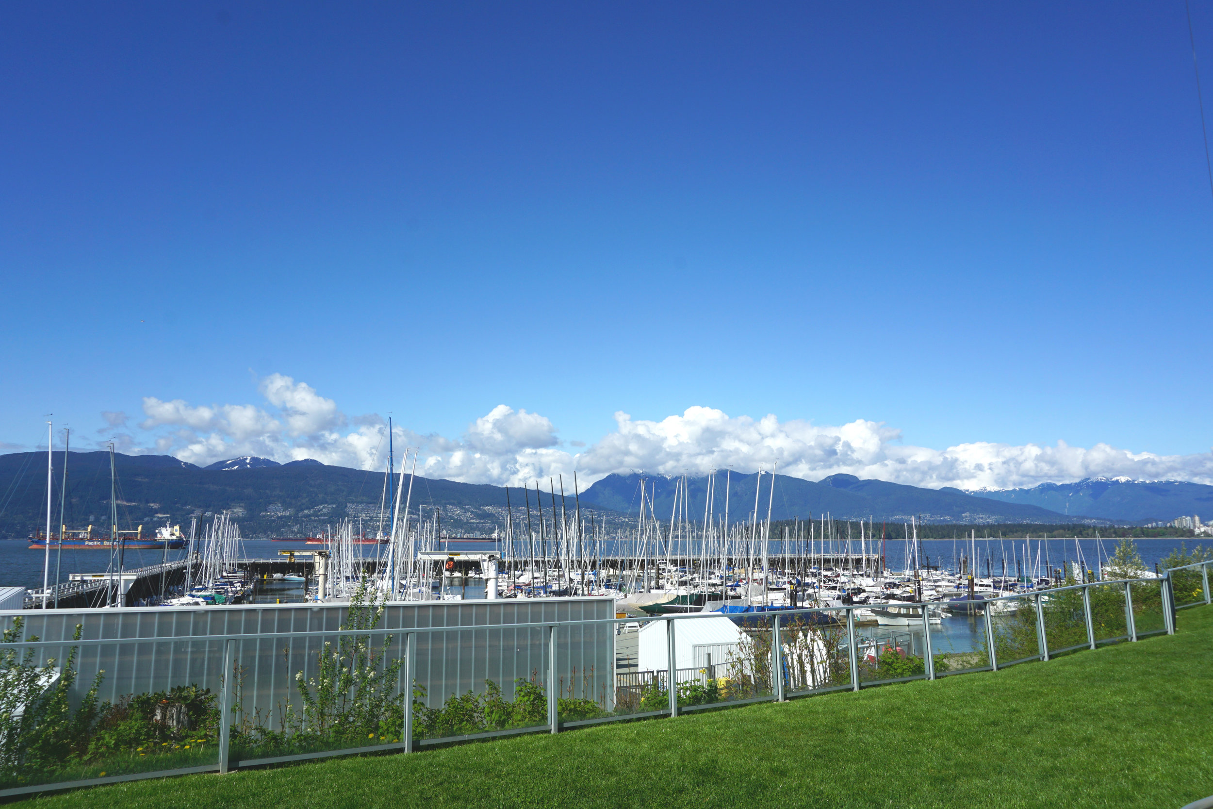 how much to join royal vancouver yacht club